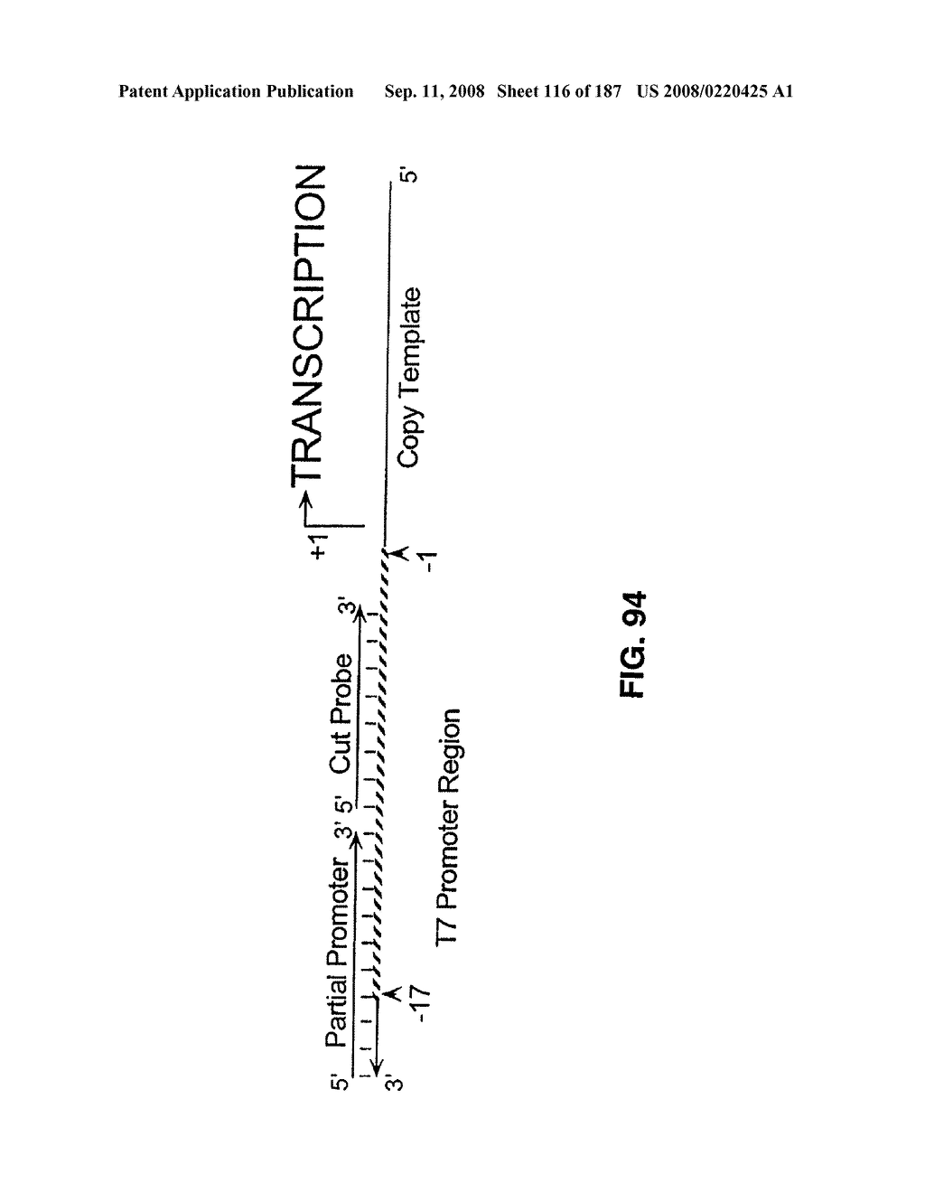 Methods and Compositions for Detecting Target Sequences - diagram, schematic, and image 117