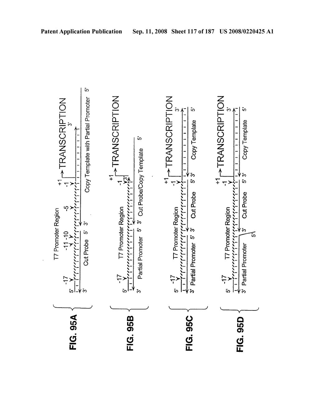 Methods and Compositions for Detecting Target Sequences - diagram, schematic, and image 118