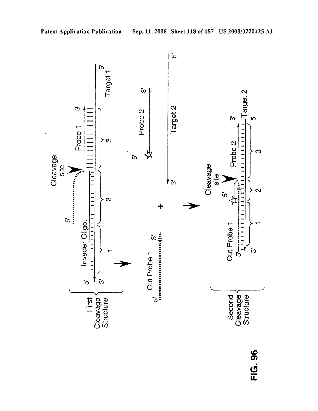 Methods and Compositions for Detecting Target Sequences - diagram, schematic, and image 119