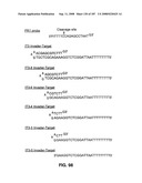 Methods and Compositions for Detecting Target Sequences diagram and image