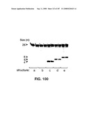 Methods and Compositions for Detecting Target Sequences diagram and image