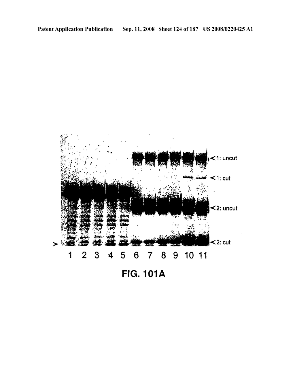 Methods and Compositions for Detecting Target Sequences - diagram, schematic, and image 125