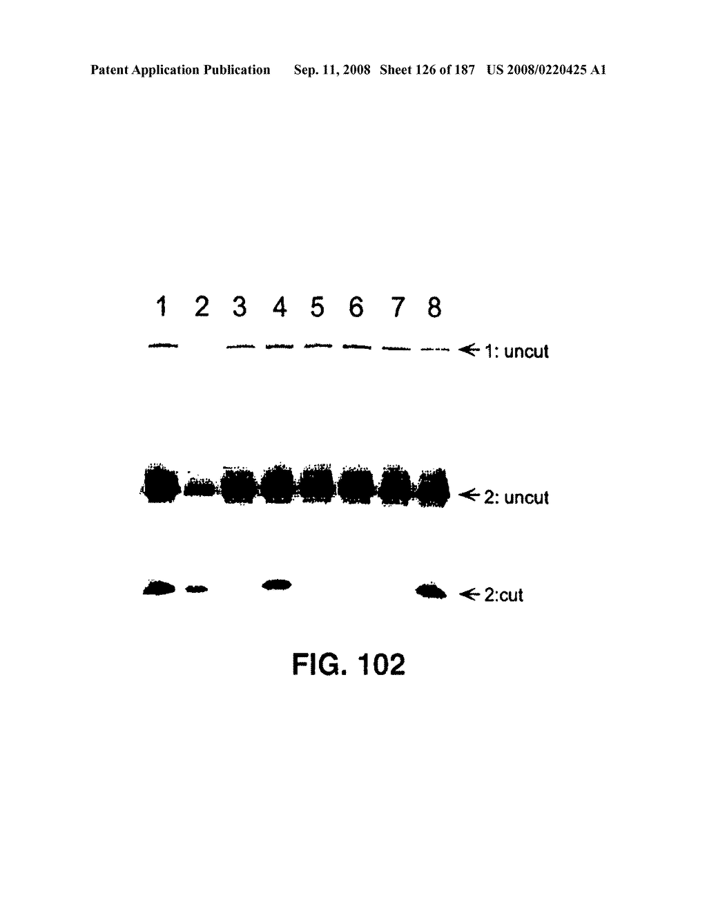 Methods and Compositions for Detecting Target Sequences - diagram, schematic, and image 127