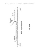 Methods and Compositions for Detecting Target Sequences diagram and image