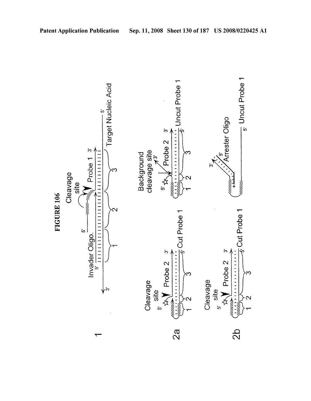 Methods and Compositions for Detecting Target Sequences - diagram, schematic, and image 131