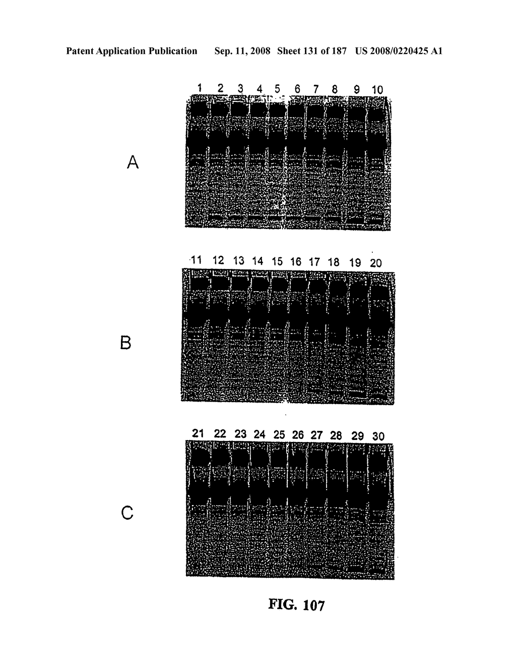 Methods and Compositions for Detecting Target Sequences - diagram, schematic, and image 132