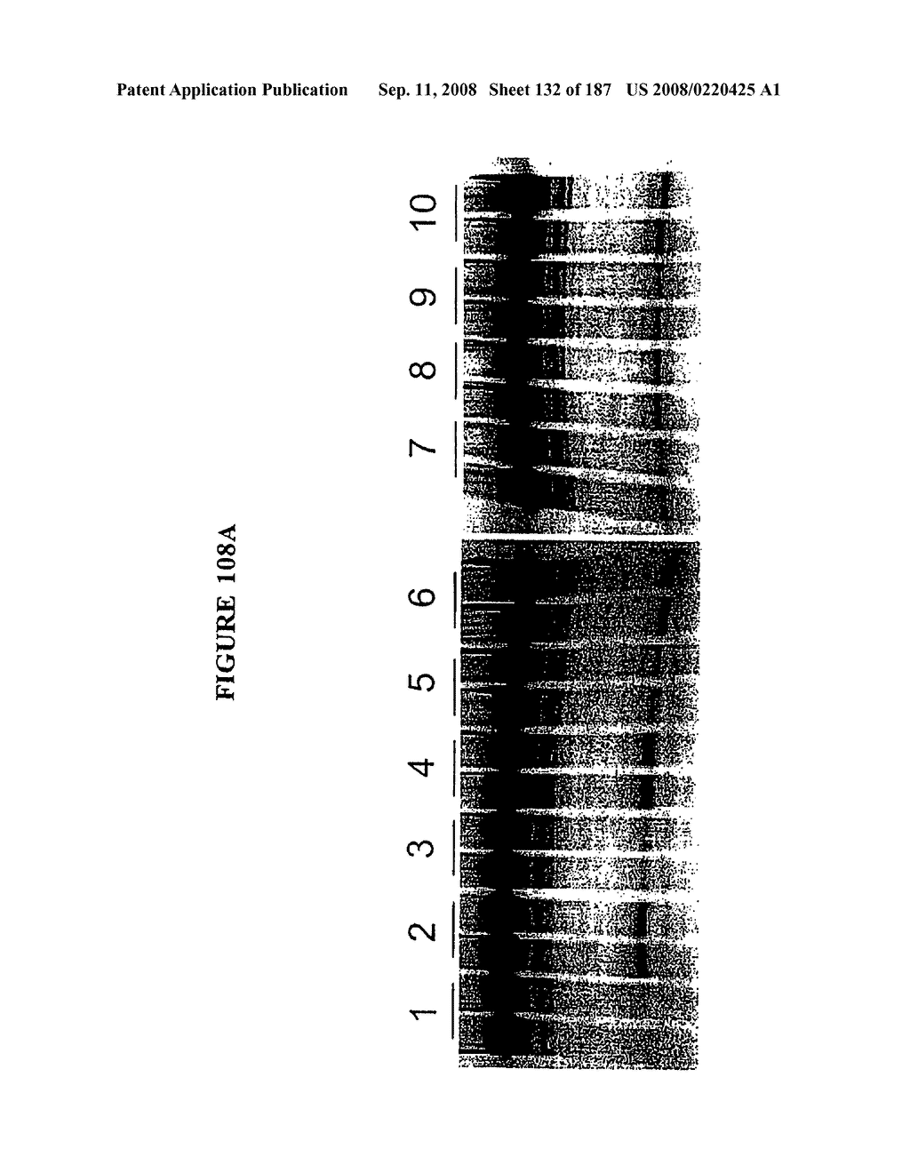 Methods and Compositions for Detecting Target Sequences - diagram, schematic, and image 133