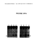 Methods and Compositions for Detecting Target Sequences diagram and image