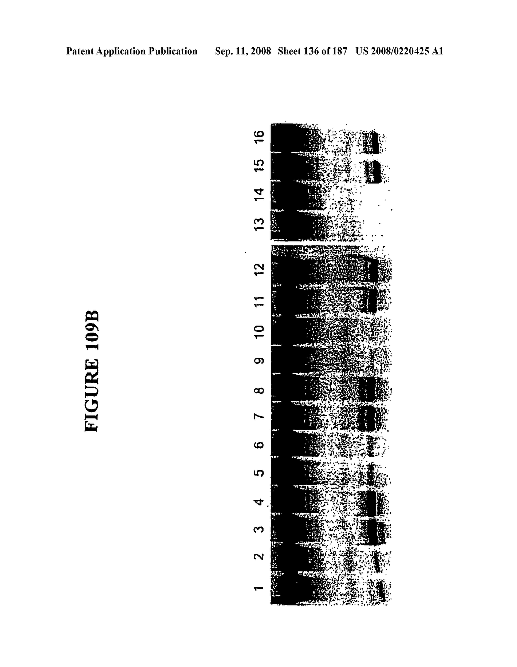 Methods and Compositions for Detecting Target Sequences - diagram, schematic, and image 137