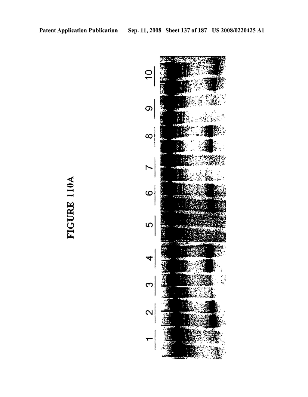 Methods and Compositions for Detecting Target Sequences - diagram, schematic, and image 138