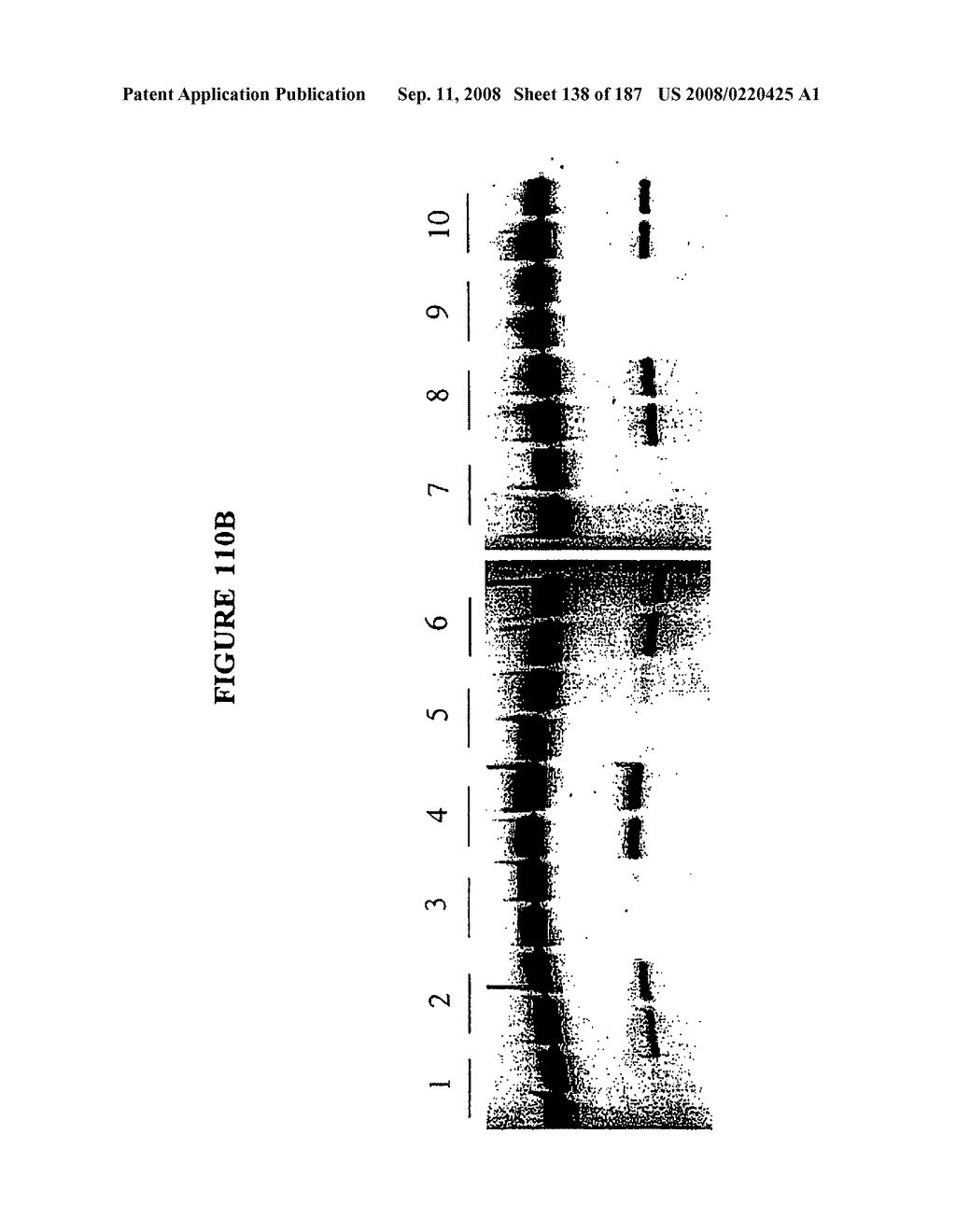 Methods and Compositions for Detecting Target Sequences - diagram, schematic, and image 139