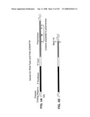 Methods and Compositions for Detecting Target Sequences diagram and image