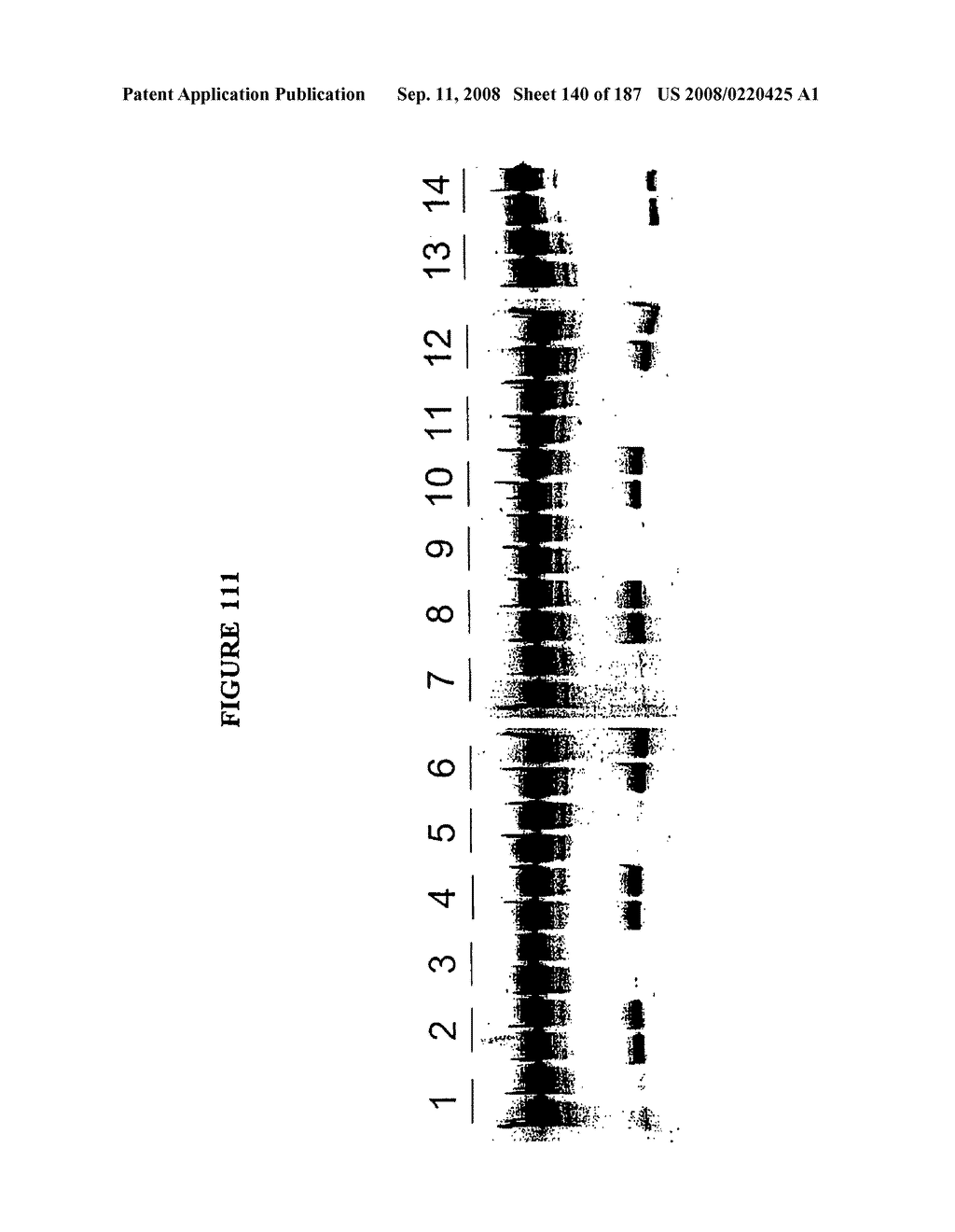 Methods and Compositions for Detecting Target Sequences - diagram, schematic, and image 141