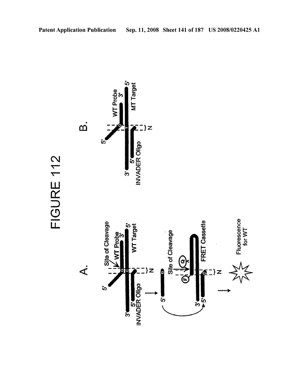 Methods and Compositions for Detecting Target Sequences - diagram, schematic, and image 142