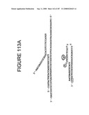 Methods and Compositions for Detecting Target Sequences diagram and image