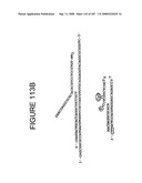 Methods and Compositions for Detecting Target Sequences diagram and image