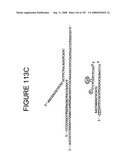 Methods and Compositions for Detecting Target Sequences diagram and image