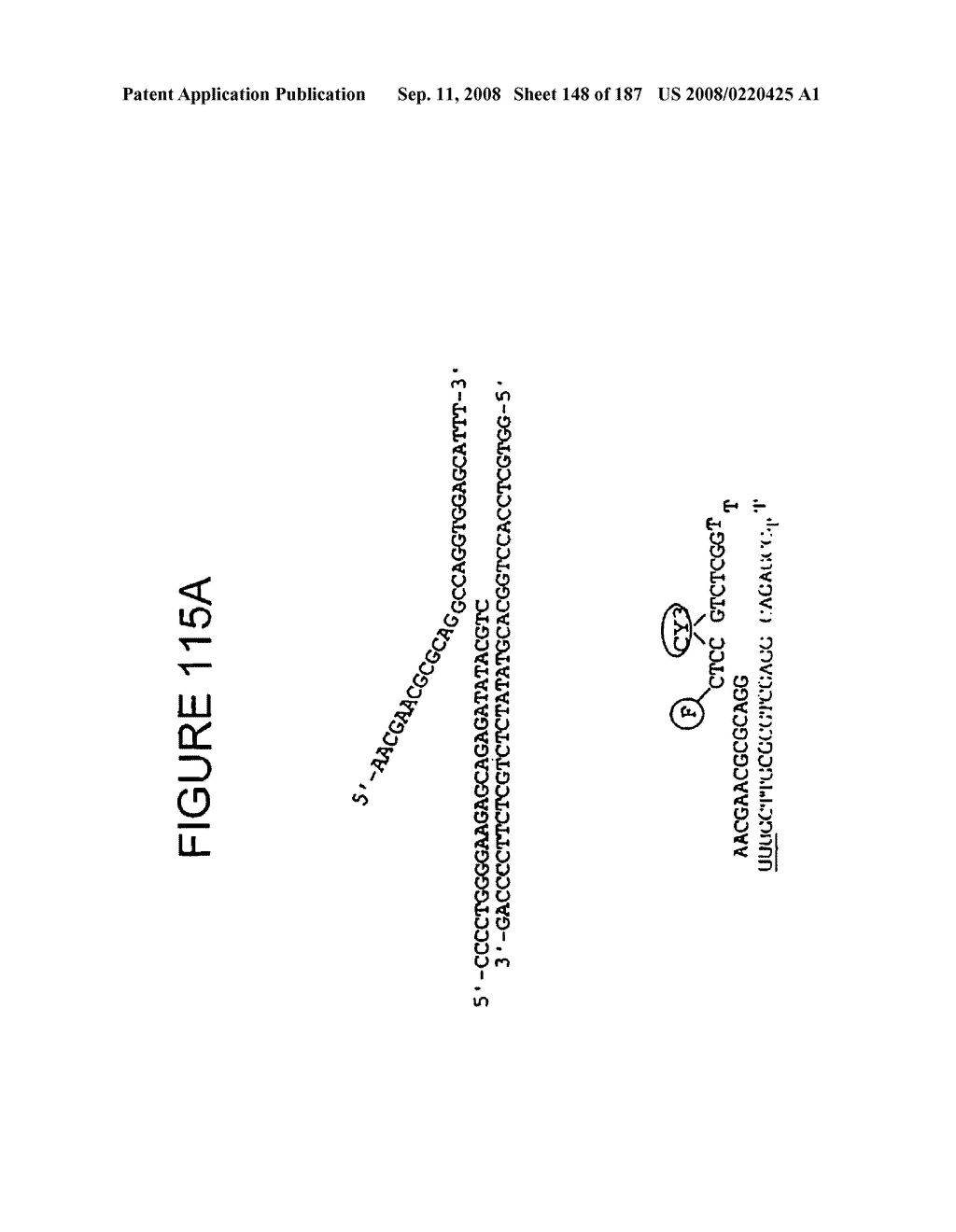 Methods and Compositions for Detecting Target Sequences - diagram, schematic, and image 149