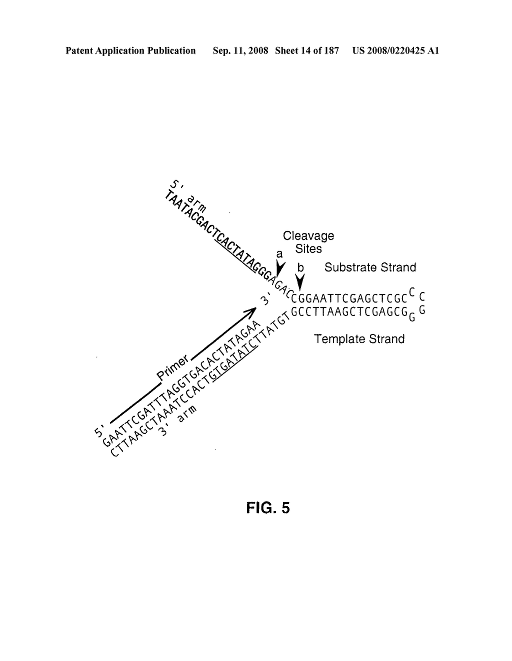 Methods and Compositions for Detecting Target Sequences - diagram, schematic, and image 15