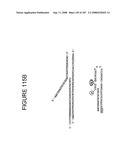 Methods and Compositions for Detecting Target Sequences diagram and image