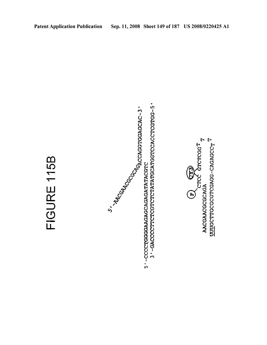 Methods and Compositions for Detecting Target Sequences - diagram, schematic, and image 150