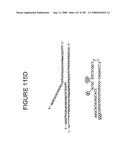 Methods and Compositions for Detecting Target Sequences diagram and image