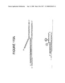 Methods and Compositions for Detecting Target Sequences diagram and image