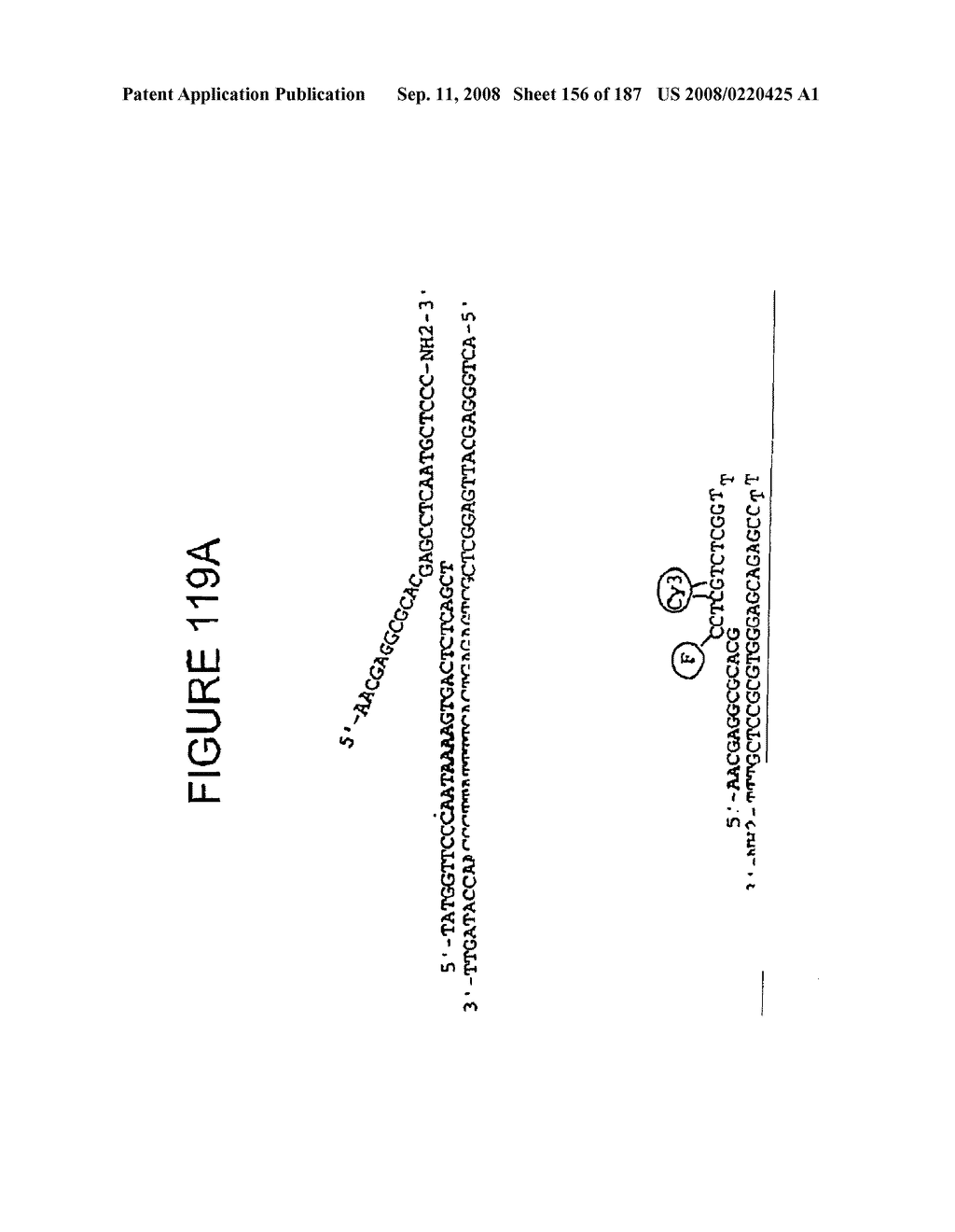 Methods and Compositions for Detecting Target Sequences - diagram, schematic, and image 157