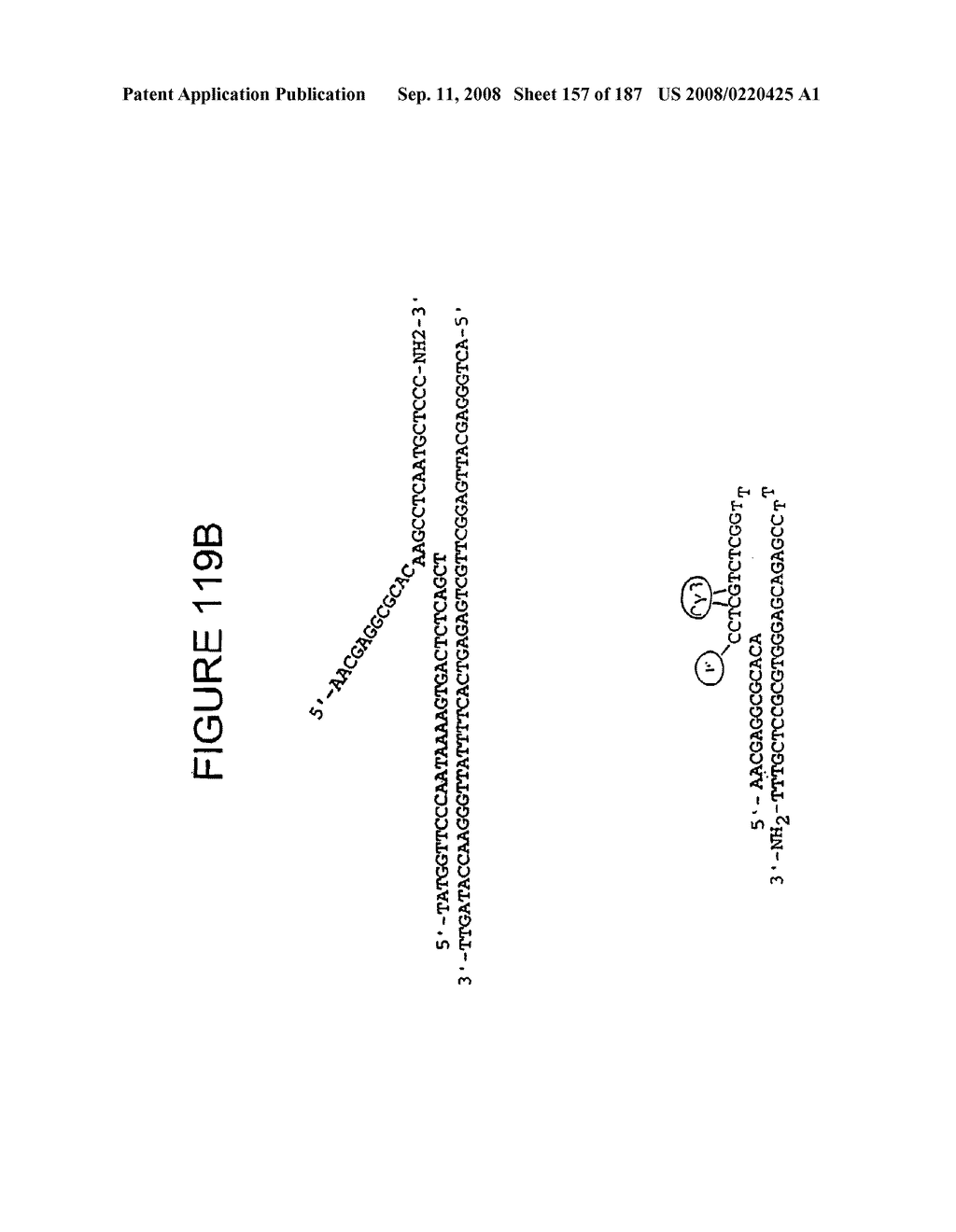 Methods and Compositions for Detecting Target Sequences - diagram, schematic, and image 158