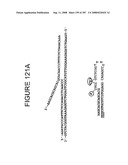 Methods and Compositions for Detecting Target Sequences diagram and image