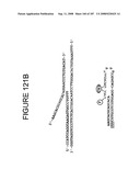 Methods and Compositions for Detecting Target Sequences diagram and image