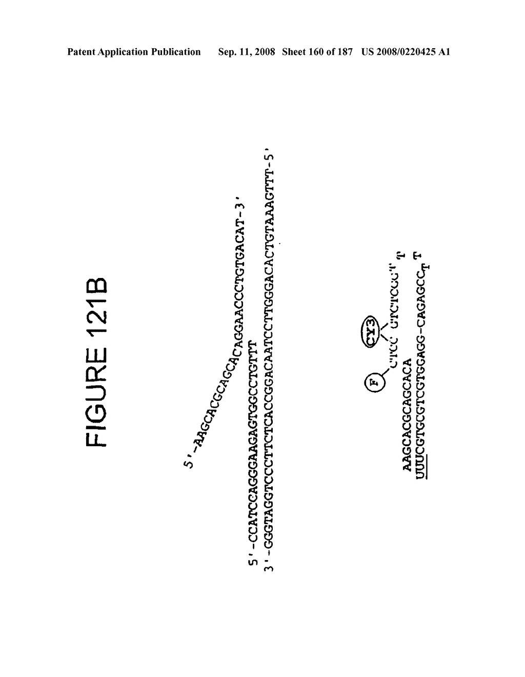 Methods and Compositions for Detecting Target Sequences - diagram, schematic, and image 161