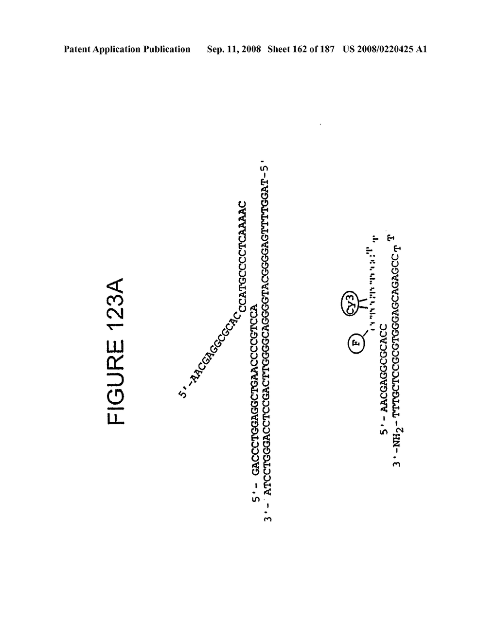 Methods and Compositions for Detecting Target Sequences - diagram, schematic, and image 163