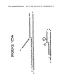 Methods and Compositions for Detecting Target Sequences diagram and image