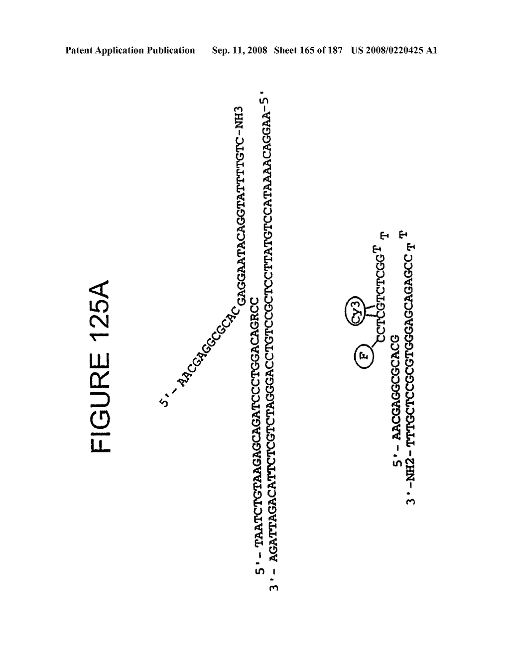 Methods and Compositions for Detecting Target Sequences - diagram, schematic, and image 166