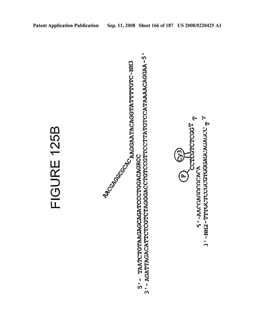 Methods and Compositions for Detecting Target Sequences - diagram, schematic, and image 167