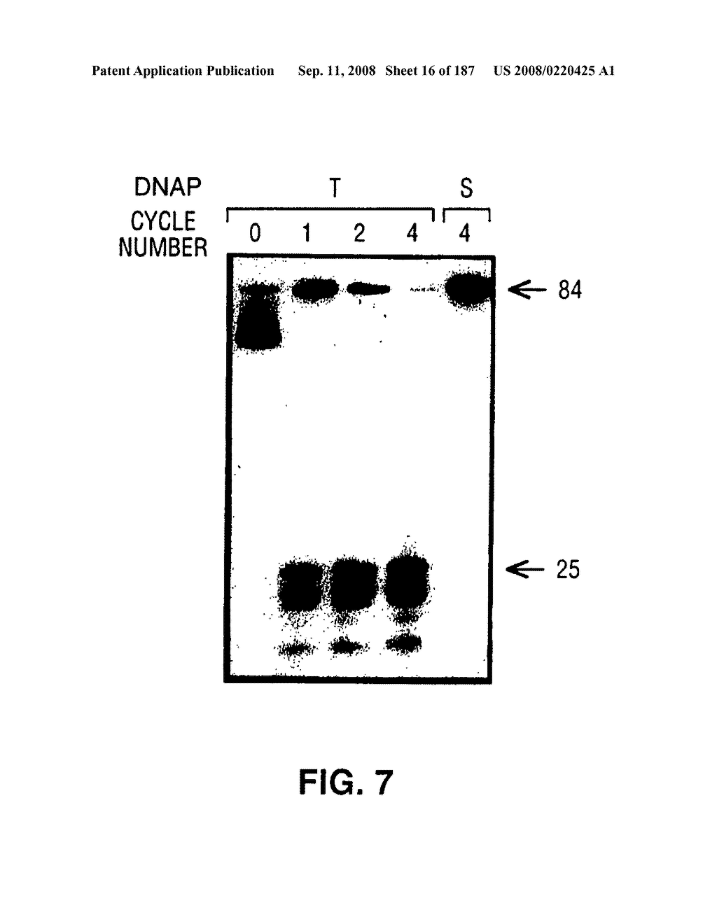 Methods and Compositions for Detecting Target Sequences - diagram, schematic, and image 17