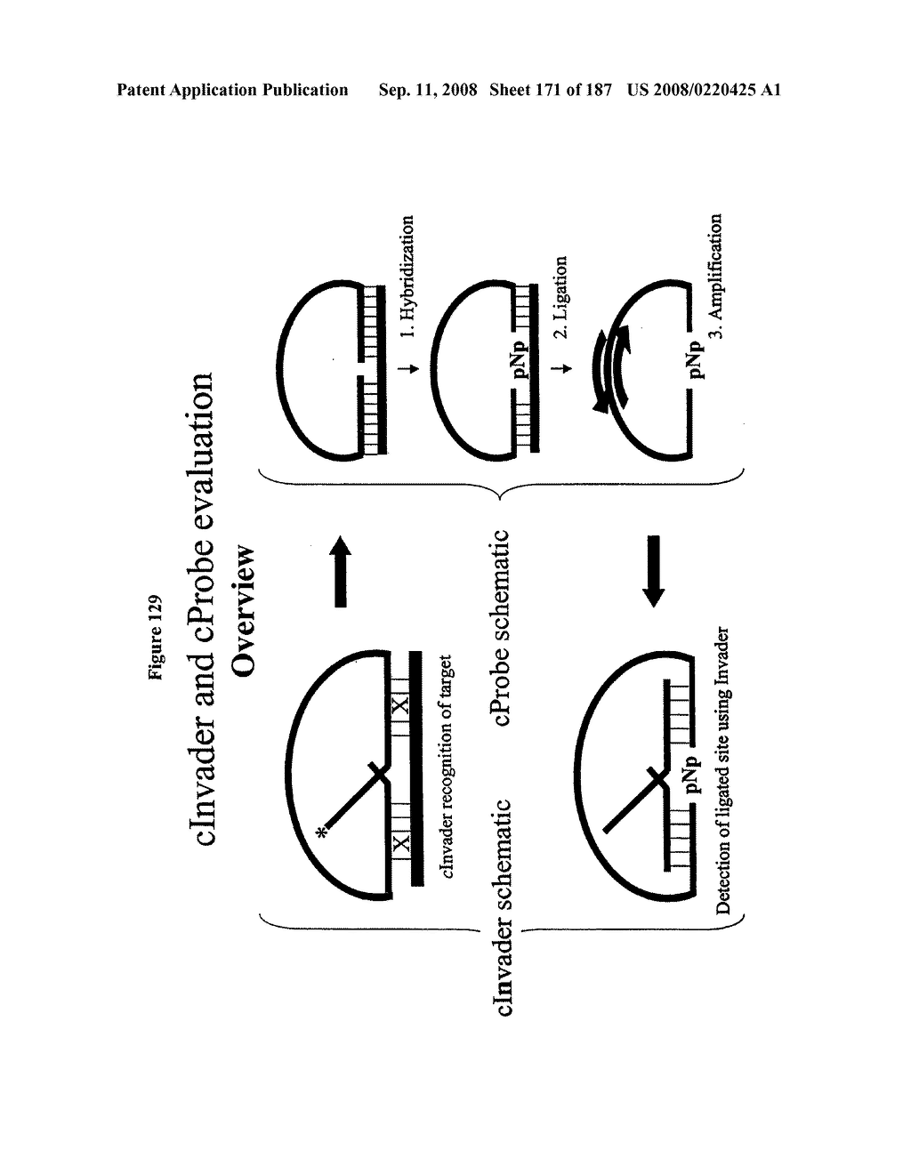 Methods and Compositions for Detecting Target Sequences - diagram, schematic, and image 172