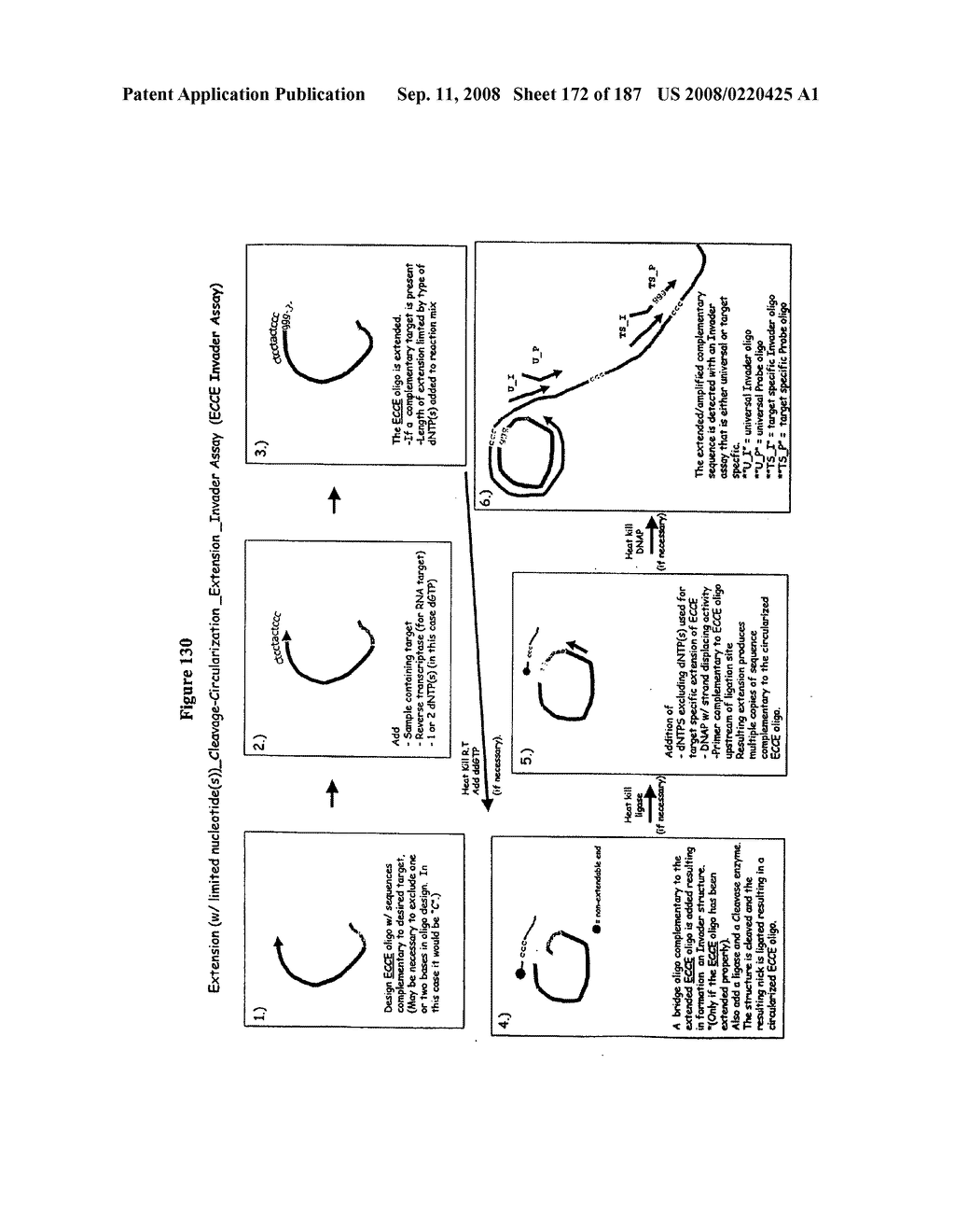 Methods and Compositions for Detecting Target Sequences - diagram, schematic, and image 173