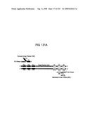 Methods and Compositions for Detecting Target Sequences diagram and image