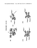 Methods and Compositions for Detecting Target Sequences diagram and image