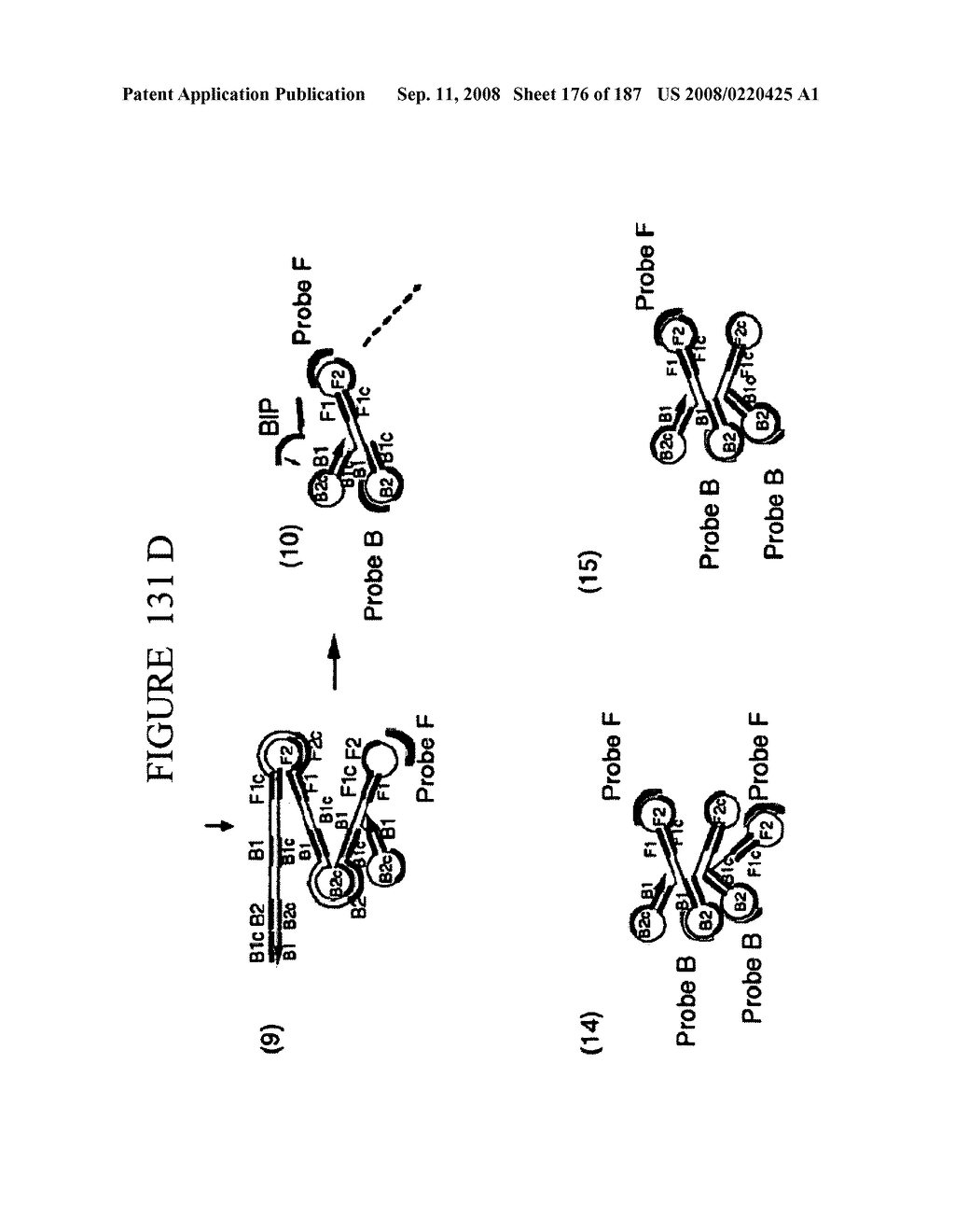 Methods and Compositions for Detecting Target Sequences - diagram, schematic, and image 177