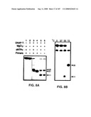 Methods and Compositions for Detecting Target Sequences diagram and image