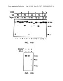 Methods and Compositions for Detecting Target Sequences diagram and image