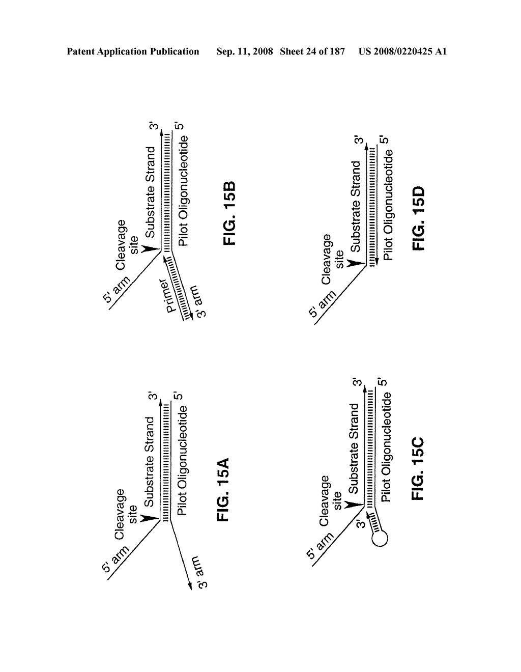 Methods and Compositions for Detecting Target Sequences - diagram, schematic, and image 25