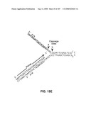 Methods and Compositions for Detecting Target Sequences diagram and image