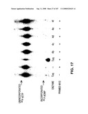 Methods and Compositions for Detecting Target Sequences diagram and image