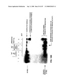 Methods and Compositions for Detecting Target Sequences diagram and image