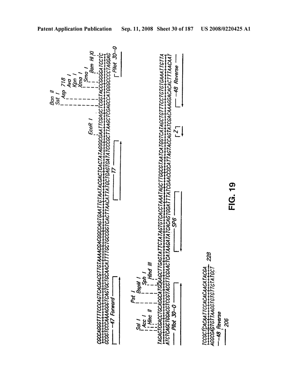 Methods and Compositions for Detecting Target Sequences - diagram, schematic, and image 31