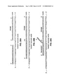 Methods and Compositions for Detecting Target Sequences diagram and image